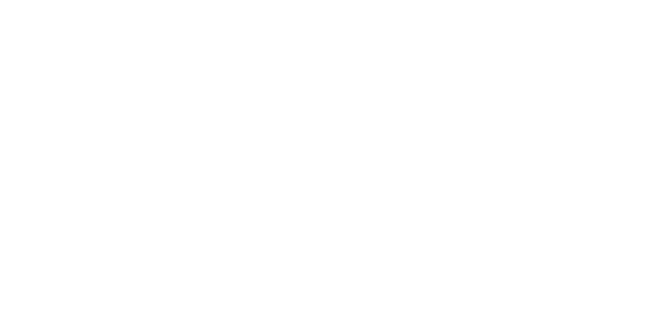 LEVO